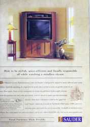 Big-screen-TV-in-a-wooden-entertainment-center-1998