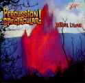 percussion spectacular