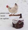 Peace chicken