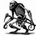 elder skeleton