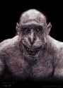 ORC-chimpanzee-shaved-Weta-concept-art