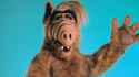 alf-warner-bros-e1533220615626