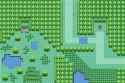 Ilex_Forest_Johto