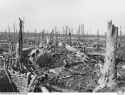 view-of-the-devastated-chateau-wood-and-bellewaarde-lake-october-1917-f00a8a-640