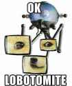 lobotomite