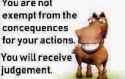 You are not exempt from the concequences of your actions horse