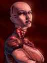 old ventress