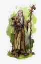 Male Human Druid Wizard Old Beastheart Staff Pet Animal Companion Bird Hawk Bald Bird Dirty Ratty Yellow