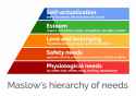 maslow-hierachy-of-needs-min