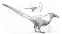 early crow dinosauroid 04