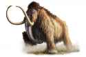 wooley_mammoth_by_critical_dean