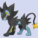 0405Luxray