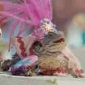 Slann