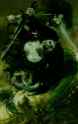 24842199ae615ab2dc2da17824a4e8ac