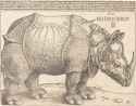 Albrecht_Dürer_-_The_Rhinoceros_(NGA_1964.8.697)
