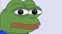stare frog