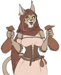 Khajiit Thief 3