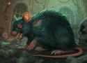 Giant Rat