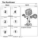 RunFlower