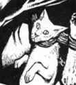 Cat-The Meowing