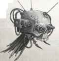 servoskull