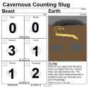 Yellow Slug