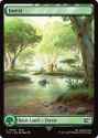 fin-308-forest
