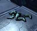 I sleep