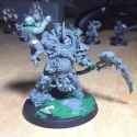typhuskitbash