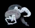 2bd7818d3b23723ac18bf588b7d5cfe5