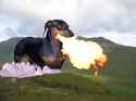 fire_breathing_dog_by_nicholasvance_dy9g04