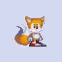 tails yawning