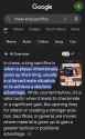 google-ai-has-an-interesting-understanding-of-king-v0-j22ws6iyrw7f1