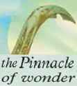 pinnacle