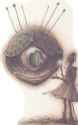 observer