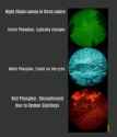 nightvision