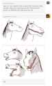 Muanhorse
