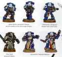 5e codex vets