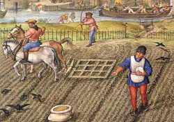 feudal-life-farming-2140934060