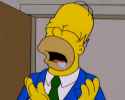 homer drool