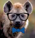 k9OK27O