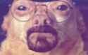 WWDawg