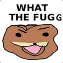 fugg