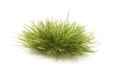 almighty tuft