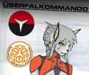 uberfalkommando