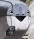 Happy Camera Plane Nose