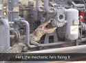 He&#039;s the Mechanic Alligator