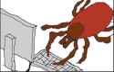 tick