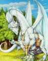 e16b5c5eaa9ae501af52f0ecf9d370f9