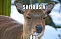 doe
